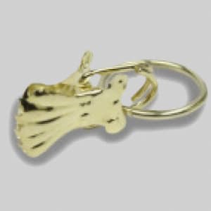 Ring mit Klammer Messing